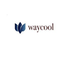 Waycool logo
