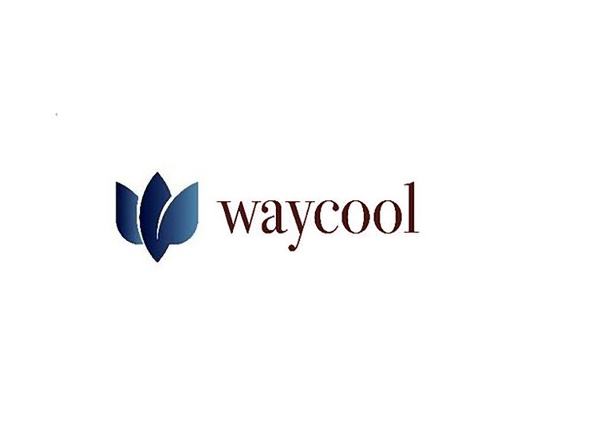 Waycool logo